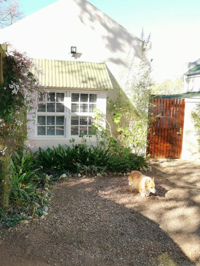 30 Oak Street Greyton Exterior foto